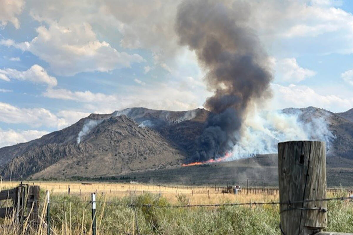 An image provided by the Bureau of Land Management shows the Cottonwood Peak Fire in Northern N ...