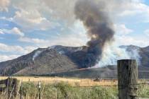 An image provided by the Bureau of Land Management shows the Cottonwood Peak Fire in Northern N ...