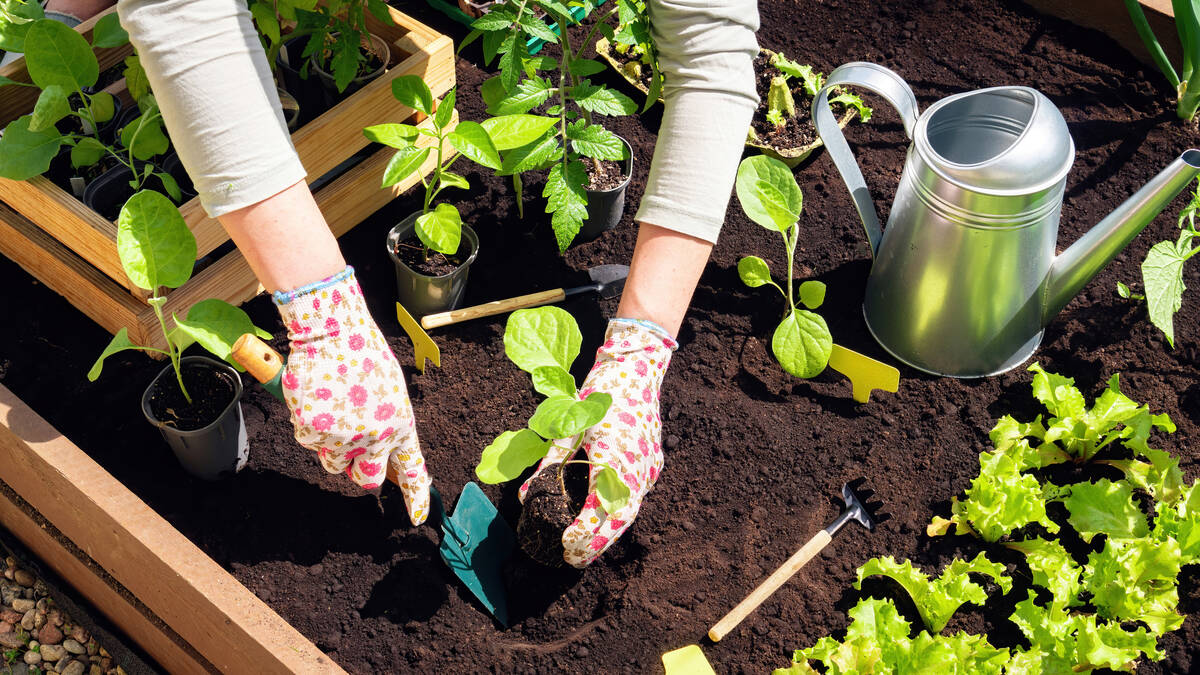 “Research suggests 20 to 30 minutes (of gardening) a few times a week can reduce stress ...