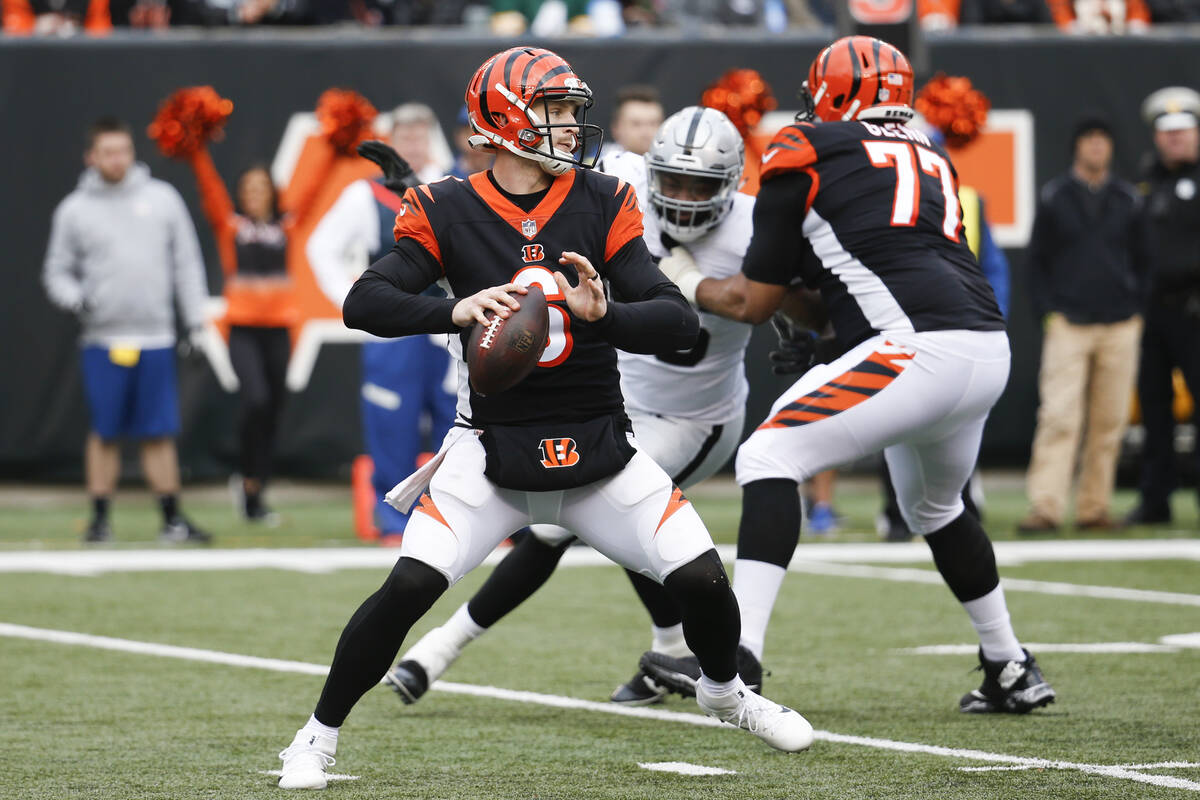 Cincinnati Bengals quarterback Jeff Driskel looks to pass in the second half of an NFL football ...