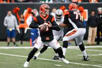 Cincinnati Bengals quarterback Jeff Driskel looks to pass in the second half of an NFL football ...