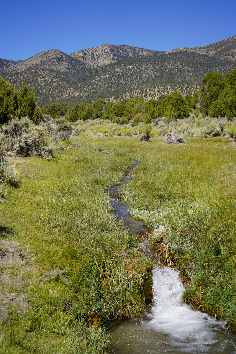 Willow Creek, seen here in late July, supplied water to those operating the Ward Charcoal Ovens ...