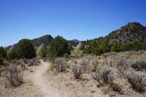 A hiking loop at Ward Charcoal Ovens State Park winds through black sagebrush before ending at ...