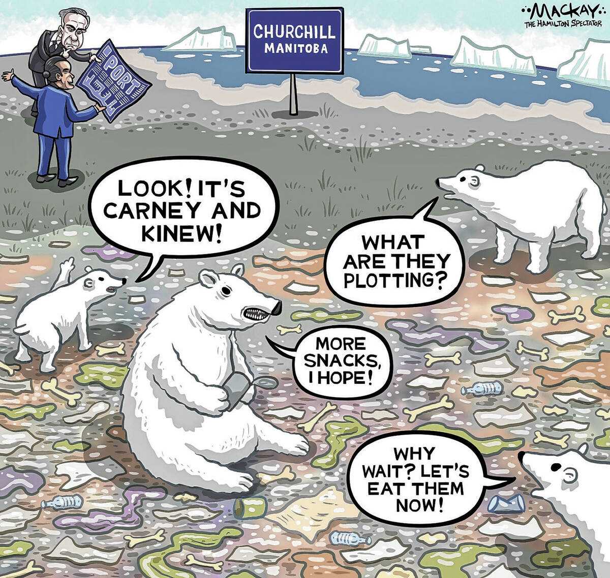 Editorial Cartoon by Graeme MacKay, The Hamilton Spectator – Editorial Cartoon by Graeme ...