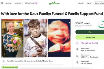 A GoFundMe page for the Dauz family is seen in a screenshot. (GoFundMe)