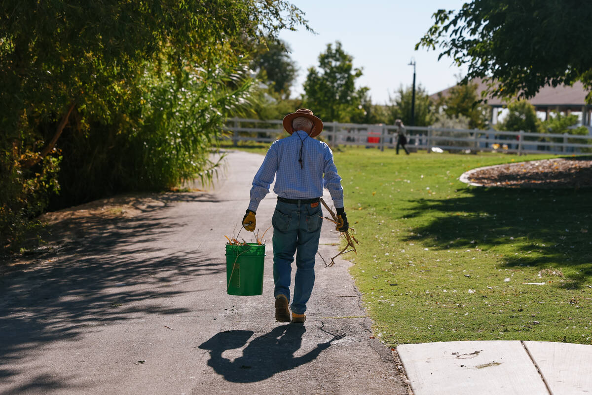 A volunteer carries a bucket of branches to be discarded during an event held in remembrance of ...
