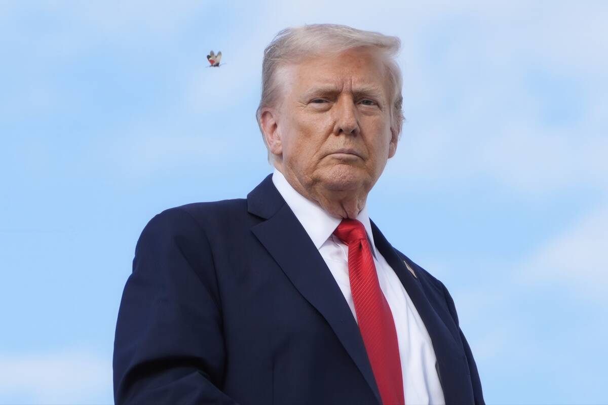A spotted lanternfly flies past President Donald Trump as he boards Air Force One, Thursday, Se ...