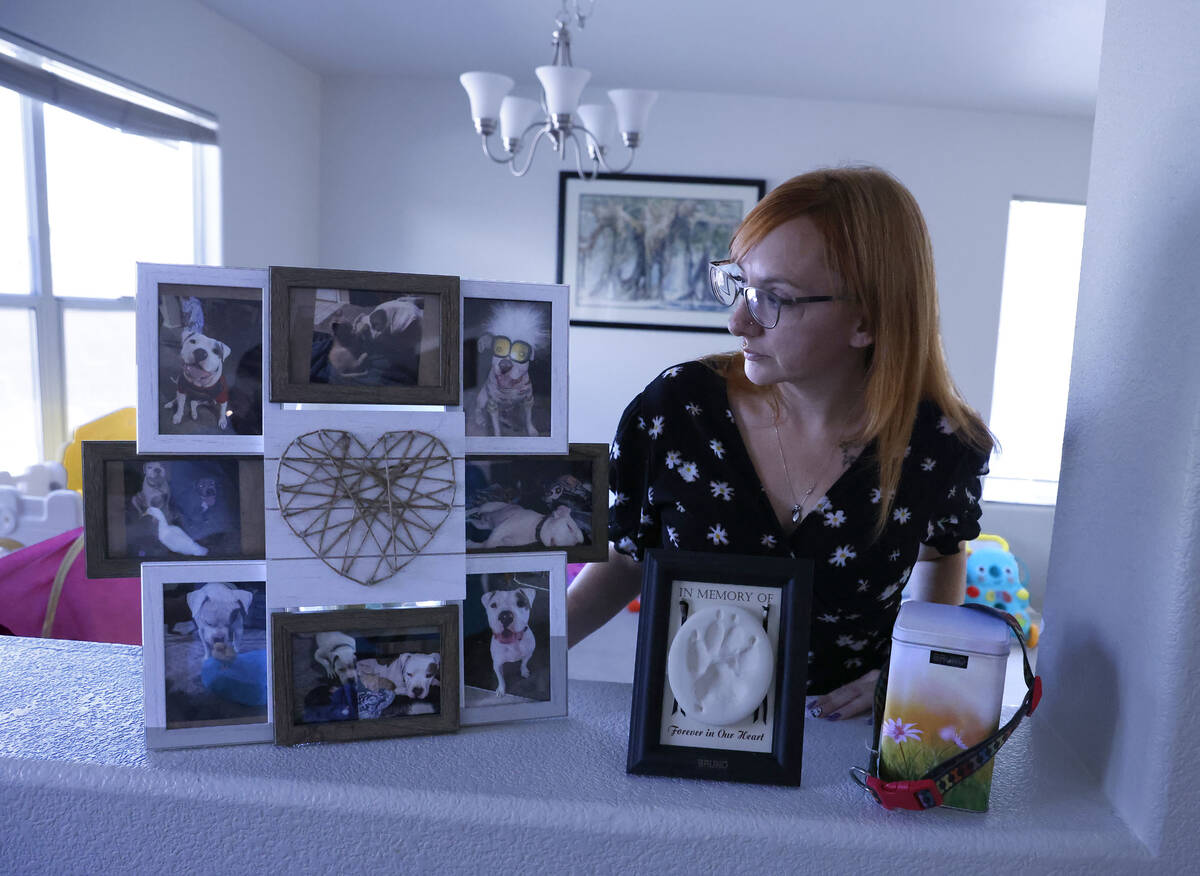 Rebecca Bobowski, whose dog, Bruno, was shot by a Henderson police officer, looks at a framed c ...