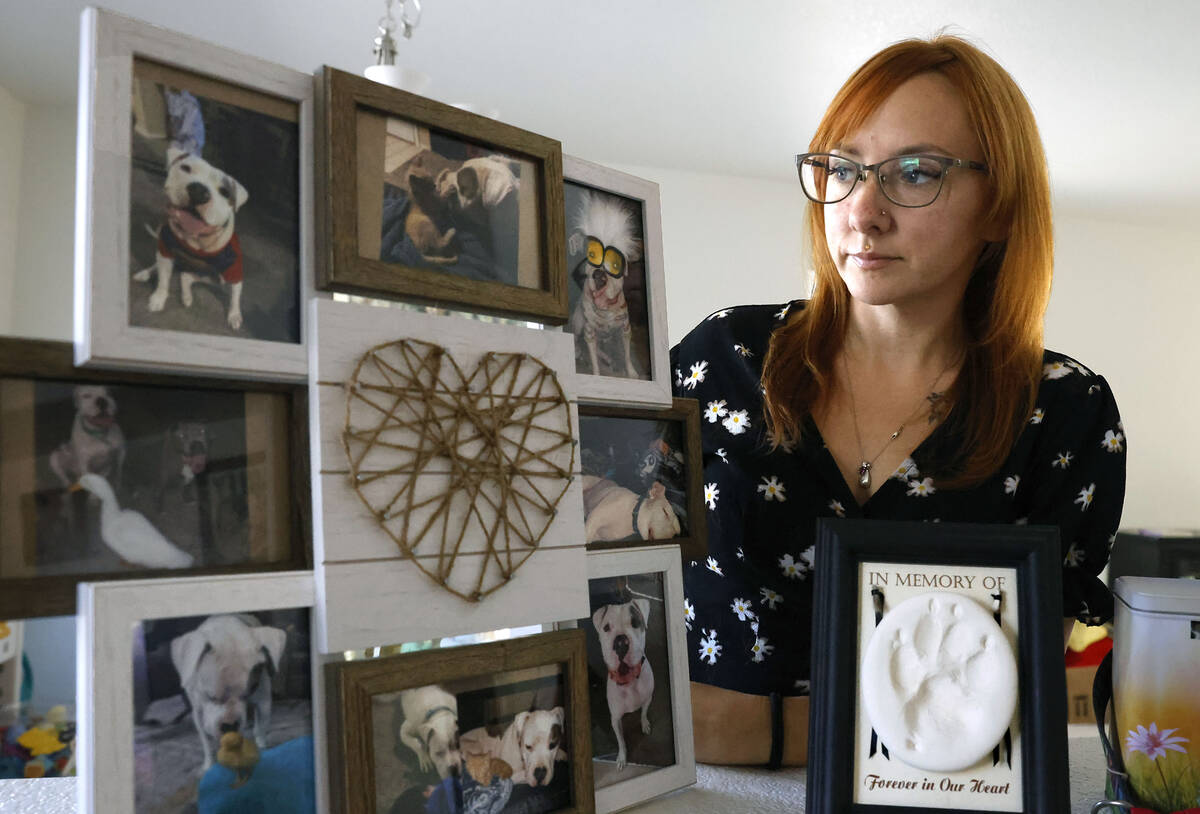 Rebecca Bobowski, whose dog, Bruno, was shot by a Henderson police officer, looks at a framed c ...