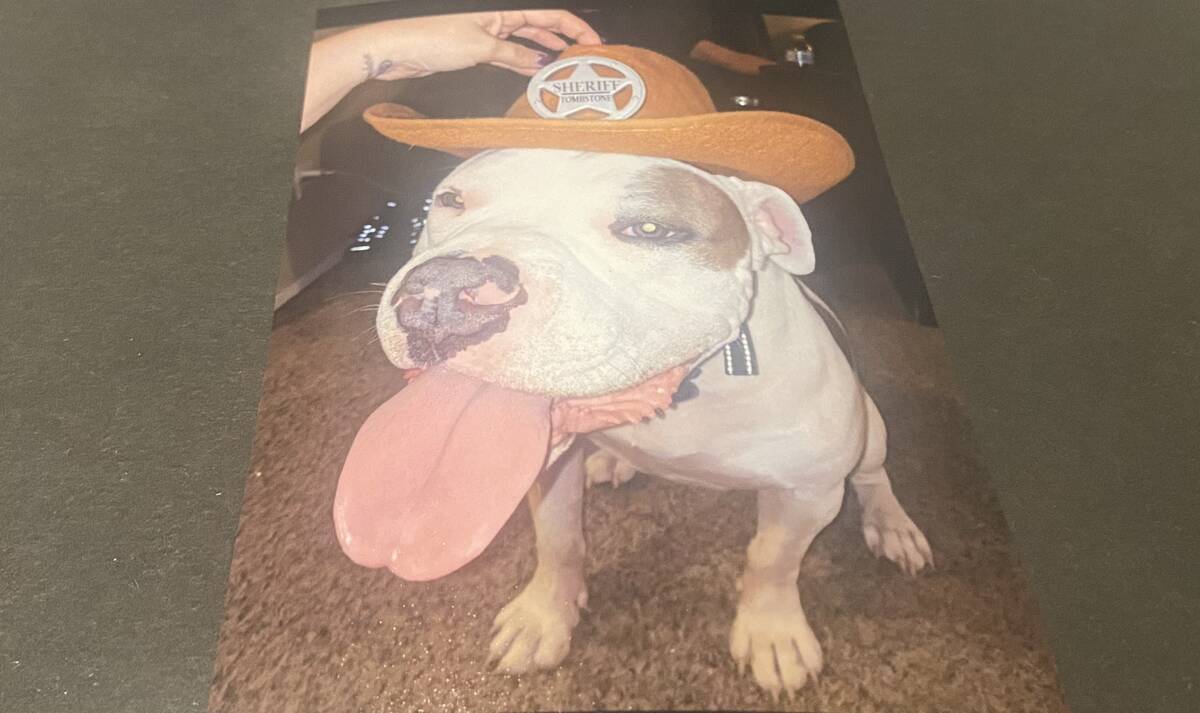 Rebecca Bobowski provided this photo of her dog, Bruno, who was shot and killed by a Henderson ...