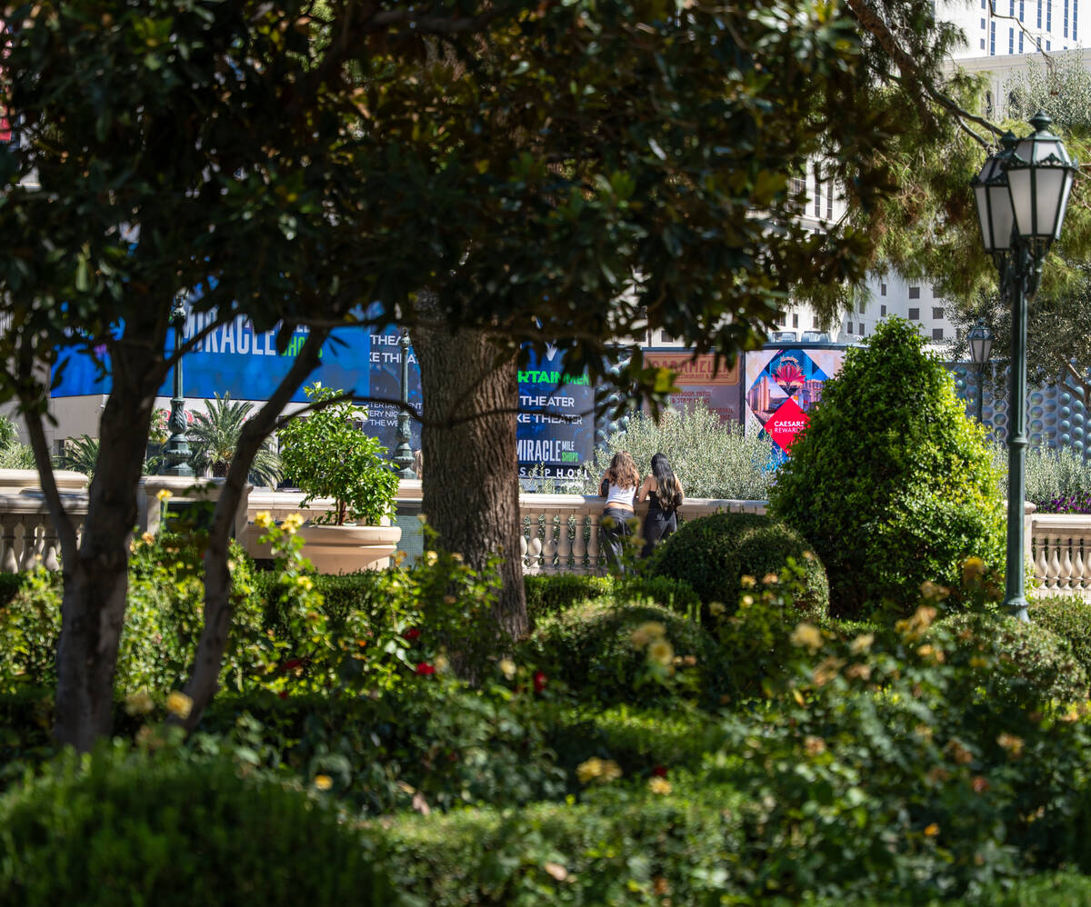 A variety of landscaping is seen outside of the Bellagio Hotel & Casino in Las Vegas Sept. ...