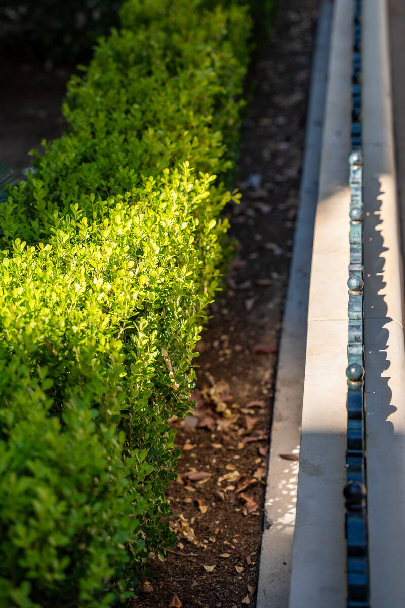 A variety of landscaping is seen outside of the Bellagio Hotel & Casino in Las Vegas Sept. ...