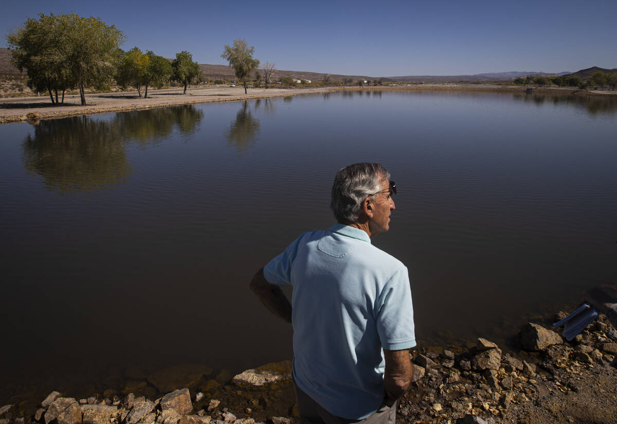 Ed Ringle sits by a manmade pond on his private land, home to several natural springs, in Beatt ...
