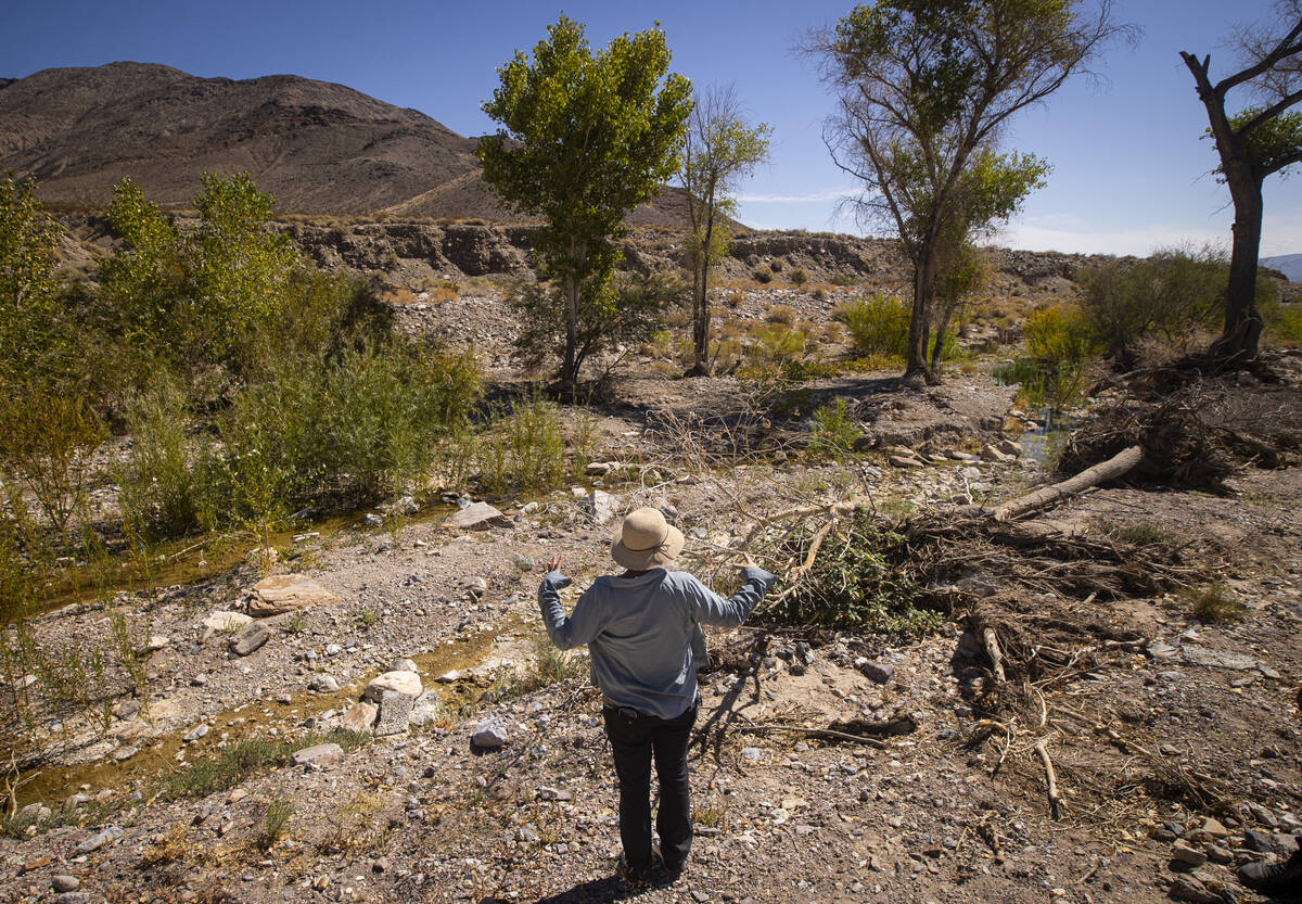 Amina Anderson, who helps manage The Nature Conservancy's properties in Beatty, shows dried up ...