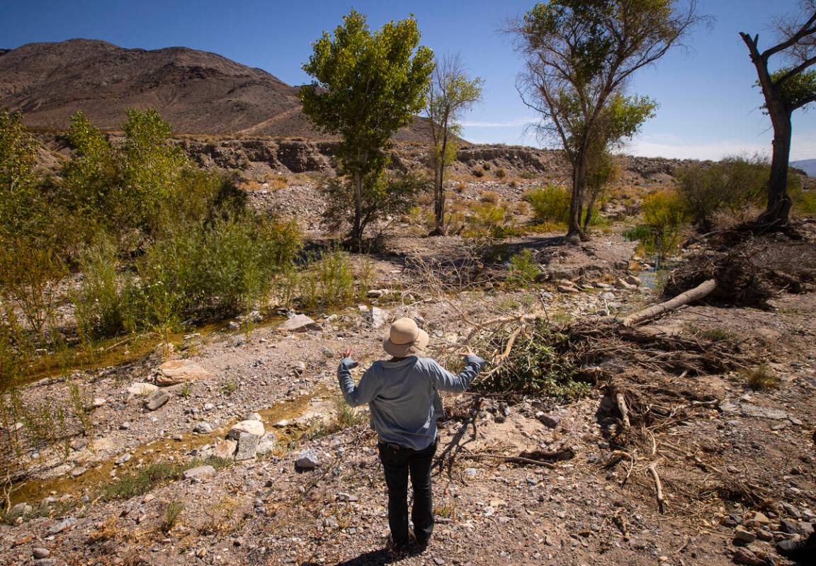 Amina Anderson, who helps manage The Nature Conservancy's properties in Beatty, shows dried up ...