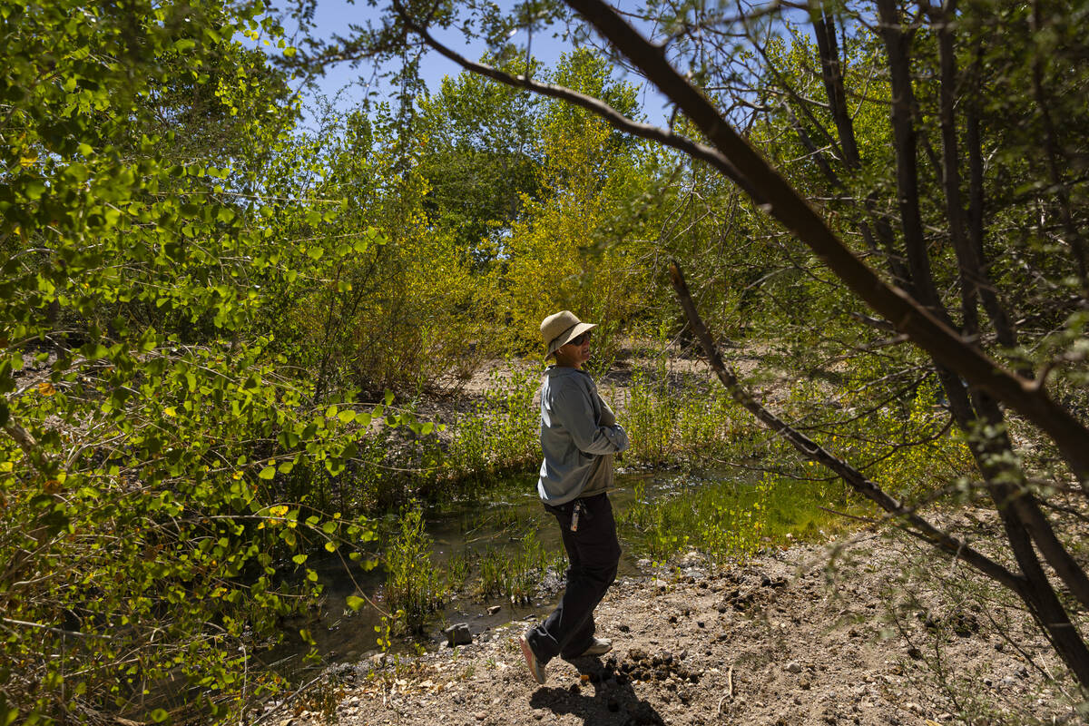 Amina Anderson, who helps manage The Nature Conservancy's preserves in Beatty, shows areas of t ...