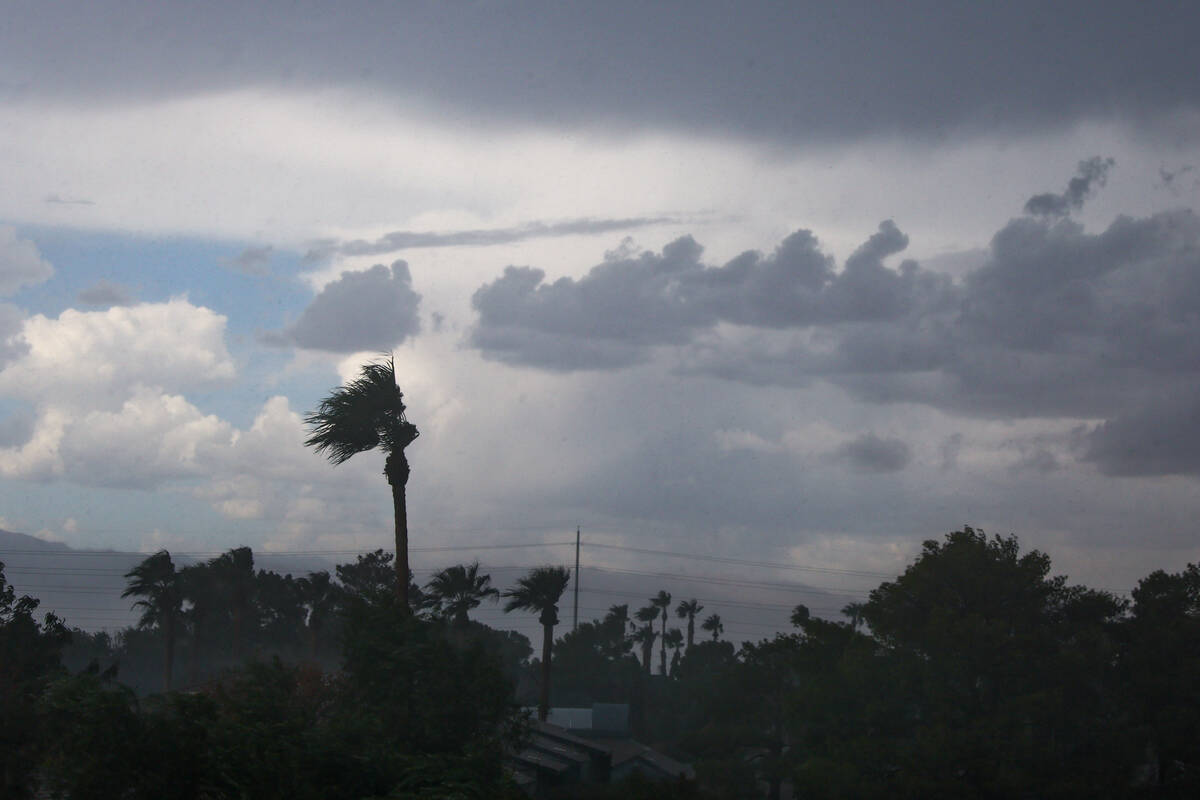 Trees sway in the wind on Friday, Sept. 26, 2025 in Henderson. (Liv Paggiarino/Las Vegas Review ...