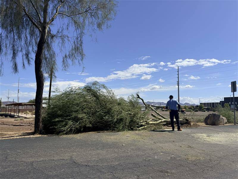 Storms on Sept. 26, 2025, uprooted several large trees on the road leading into the Henderson B ...