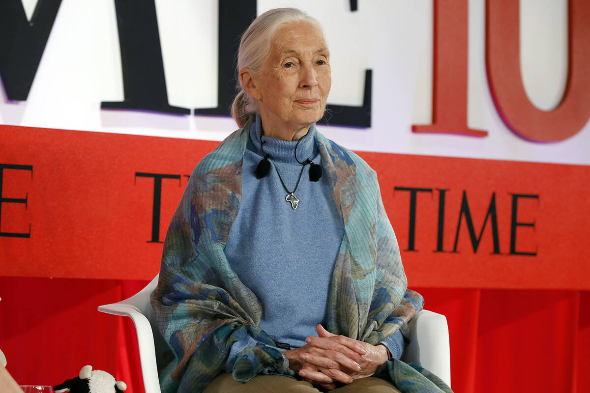 Primatologist Jane Goodall appears at the TIME 100 Summit, in New York, Tuesday, April 23, 2019 ...