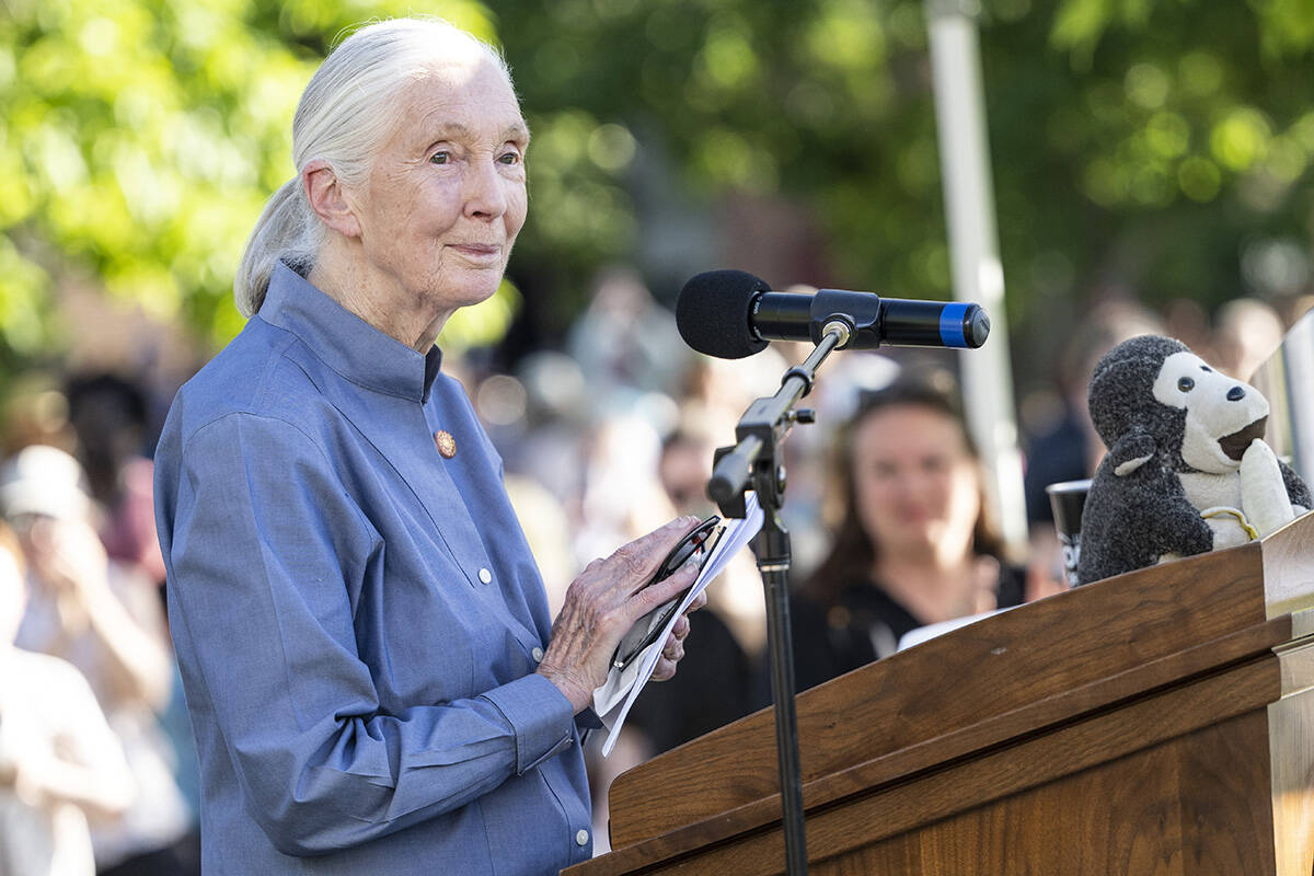 Dr. Jane Goodall speaks to a crowd gathered for the University of Montana President's Lect ...