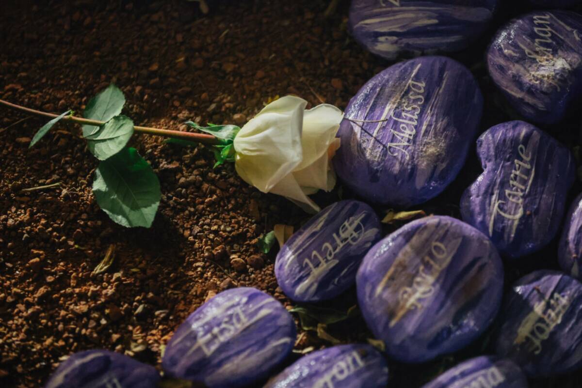A rose is left on the ground during a ceremony in honor of the victims of the Oct. 1 shooting a ...