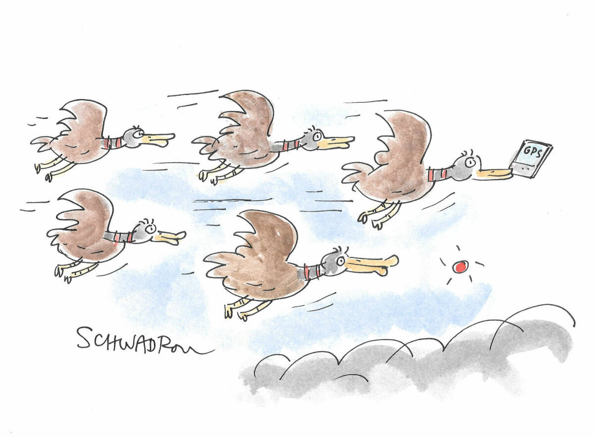 Harley Schwadron CagleCartoons.com