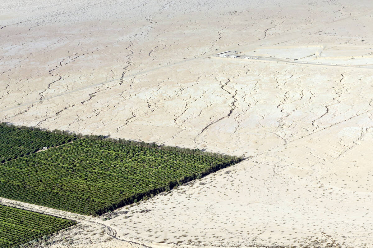 In this May 1, 2015, aerial photo, irrigated citrus trees sit surrounded by bone-dry land near ...