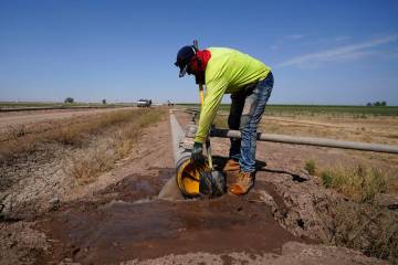 A worker diverts water as a sprinkler system is installed for alfalfa at the Cox family farm on ...