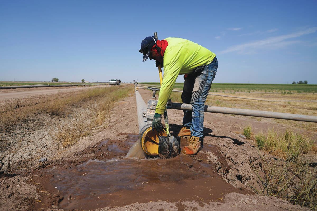 A worker diverts water as a sprinkler system is installed for alfalfa at the Cox family farm Mo ...