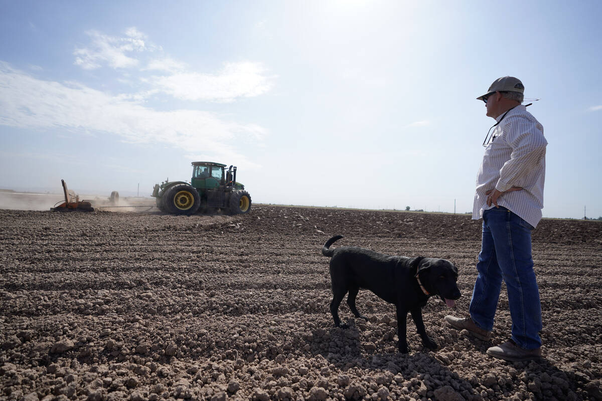 Farmer Larry Cox walks in a plowed field with his dog, Brodie, at his farm on Aug. 15, 2022, ne ...