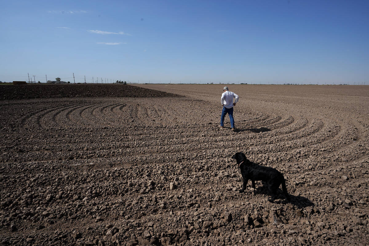 Farmer Larry Cox walks in a plowed field with his dog, Brodie, at his farm on Aug. 15, 2022, ne ...