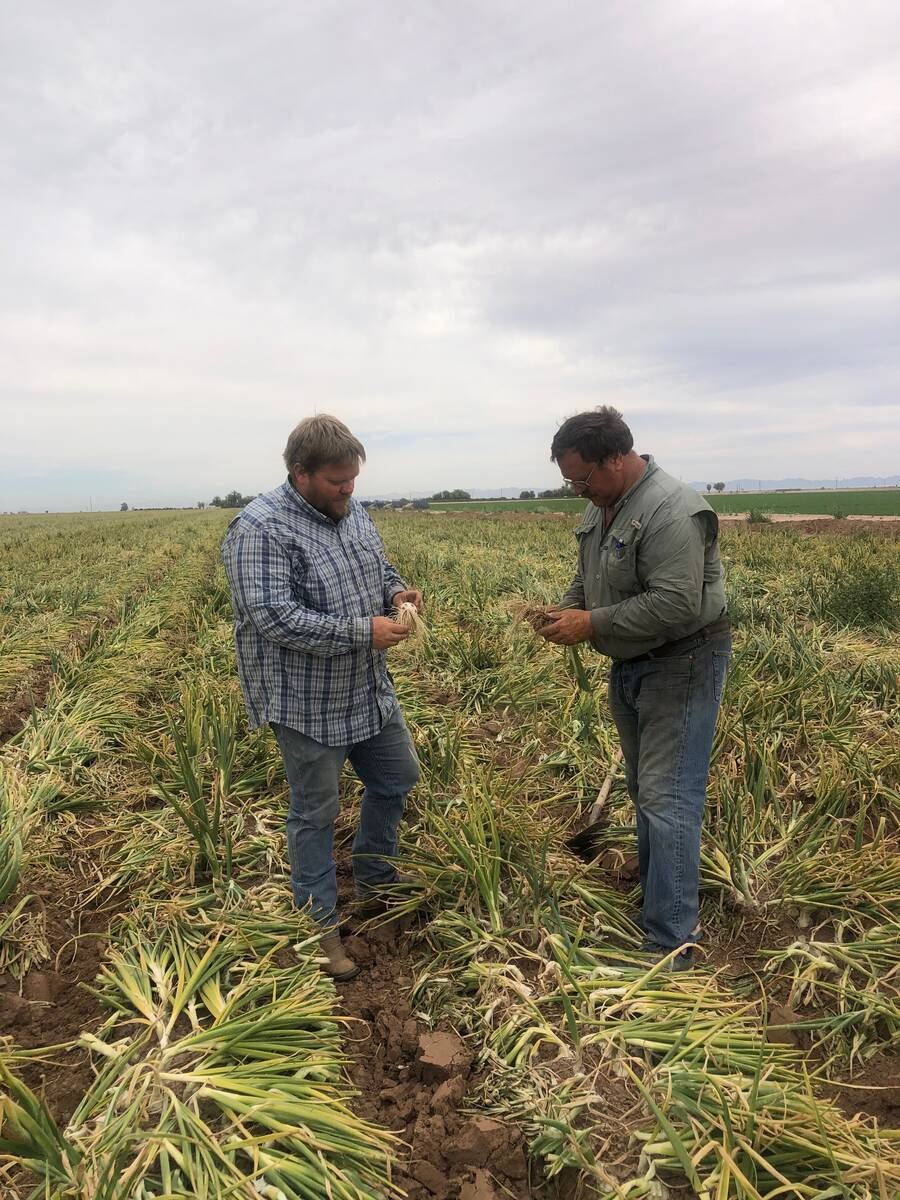 Andrew Lemigruber, left, seen on his family's farm near Holtville, Calif. (Andrew Lemigruber)