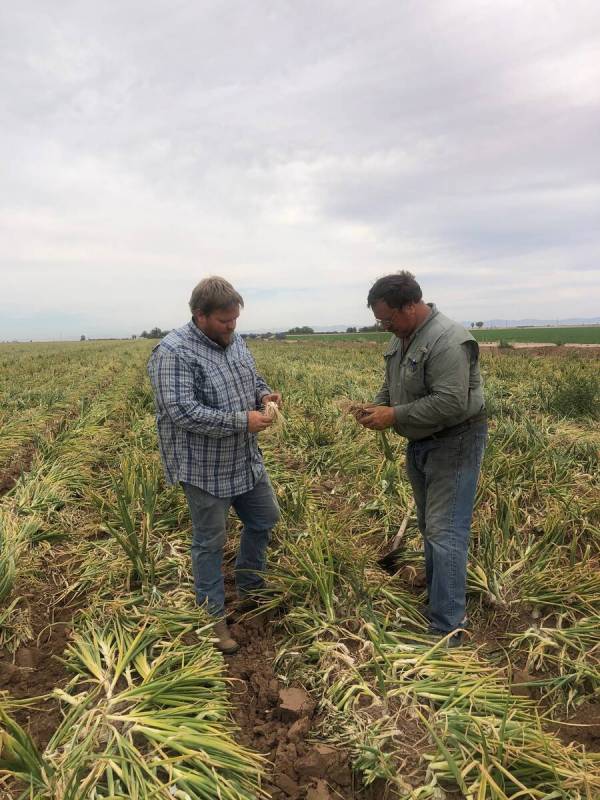 Andrew Lemigruber, left, seen on his family's farm near Holtville, Calif. (Andrew Lemigruber)