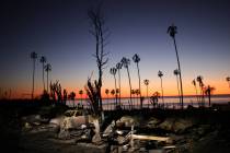 FILE - The devastation of the Palisades Fire is seen at sunset in the Pacific Palisades neighb ...