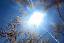 This year’s heat-related death toll rose to 260 on Monday, Oct. 13, 2025, according to the Cl ...