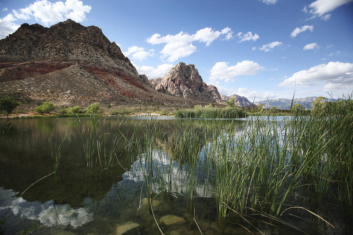 Rocky outcroppings of the Spring Mountain Range are reflected in the still waters of Lake Harri ...