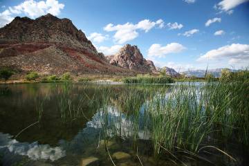 Rocky outcroppings of the Spring Mountain Range are reflected in the still waters of Lake Harri ...