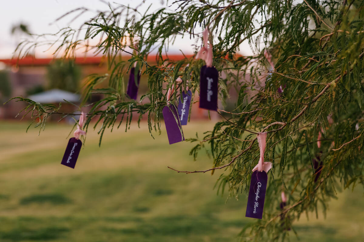 The names of domestic violence victims hang from a tree that was dedicated to honor them on Wed ...