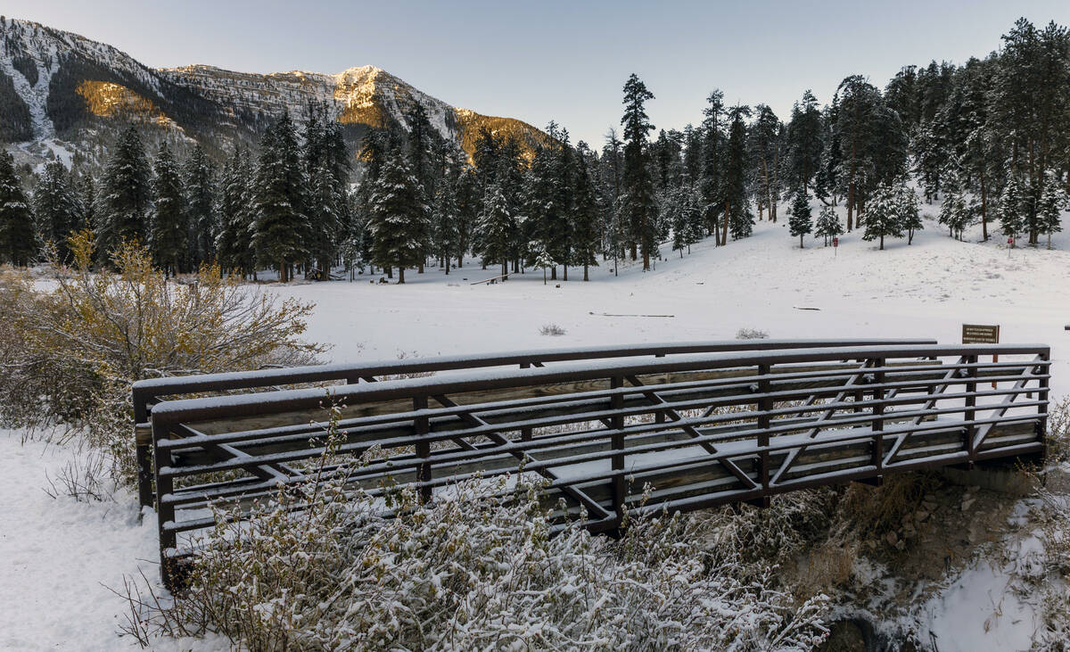 The first significant snowfall of the season covers the ground and trees on Mount Charleston on ...