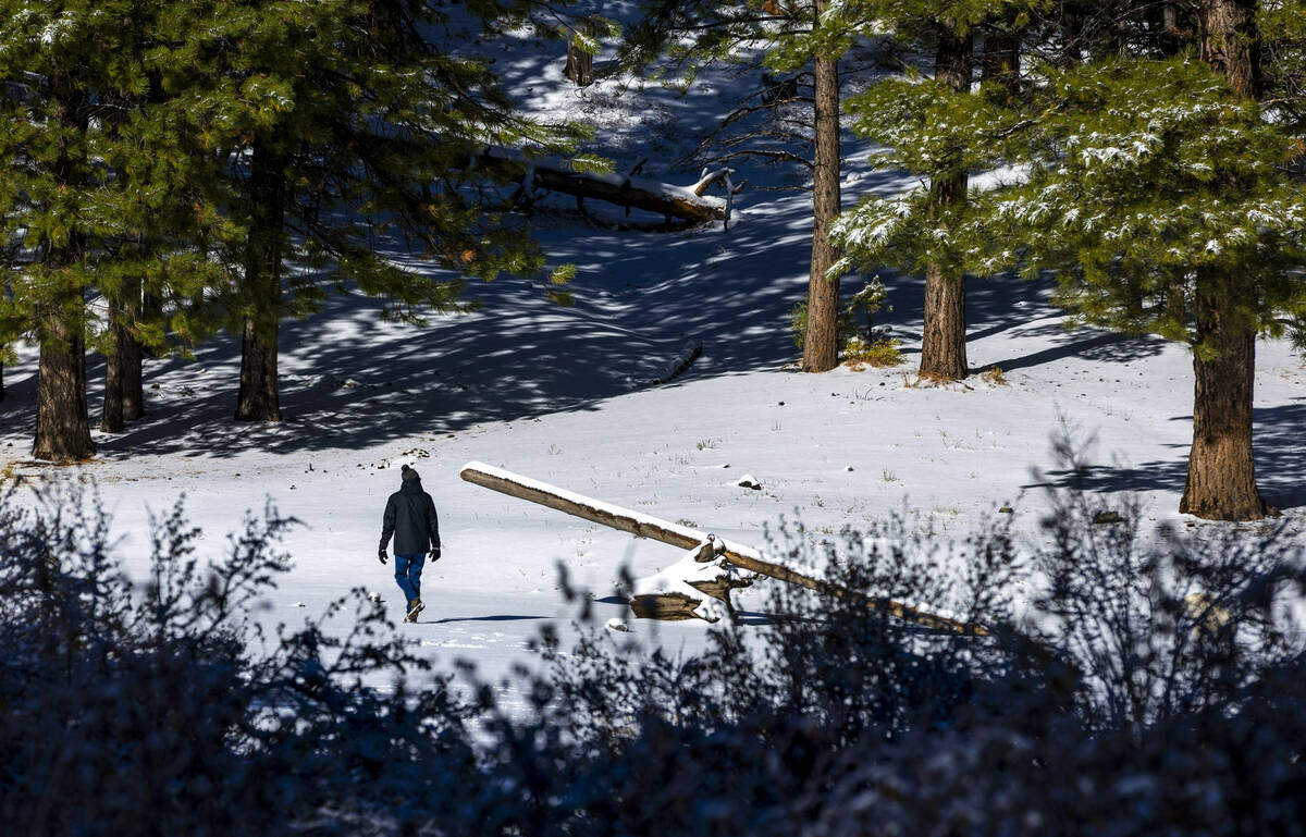 A man takes a walk in the meadow below the lodge at Lee Canyon during the first significant sno ...