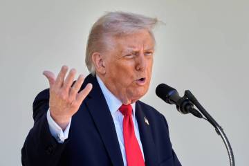 President Donald Trump speaks as he hosts a lunch with Republican Senators on the Rose Garden p ...