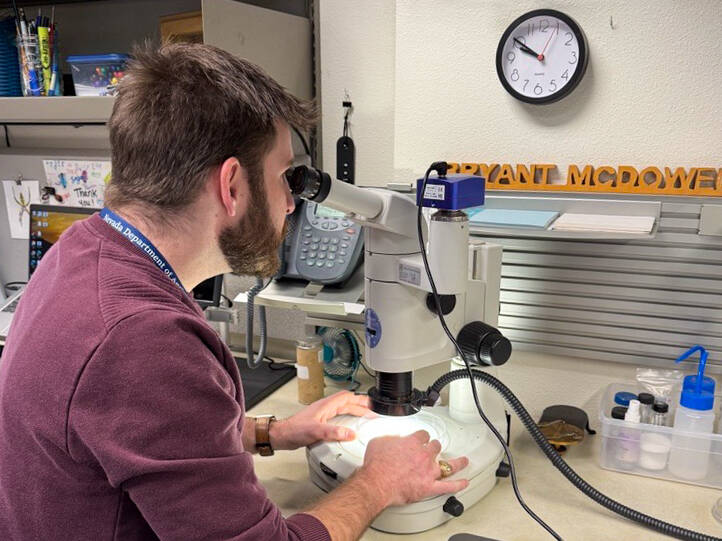 Nevada state entomologist Bryant McDowell in his office in Sparks on Oct. 15, 2025. (Nevada Dep ...