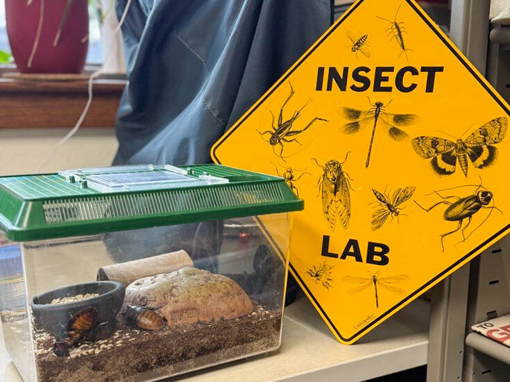 Nevada state entomologist Bryant McDowell’s office in Sparks. (Nevada Department of Agriculture)