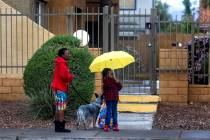 A child waits for her school bus with an adult and dog at her side along North Jones Boulevard ...