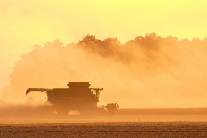 Soybeans are harvested on the Warpup Farm in Warren, Ind., Wednesday, Sept. 17, 2025. (AP Photo ...