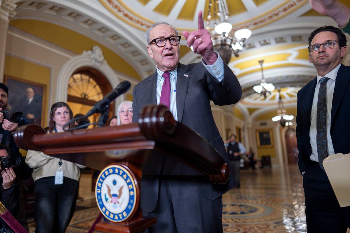 Senate Minority Leader Chuck Schumer, D-N.Y., joined at right by Sen. Brian Schatz, D-Hawaii, s ...