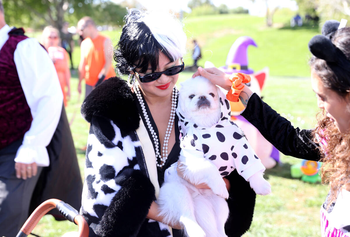 Priscilla Moy and her dog Togepi get some attention during the Sixth Annual Paws in the Park ev ...