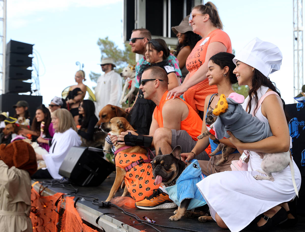 Participants in the costume dog contest and the dog and human twinning contest pose on stage du ...