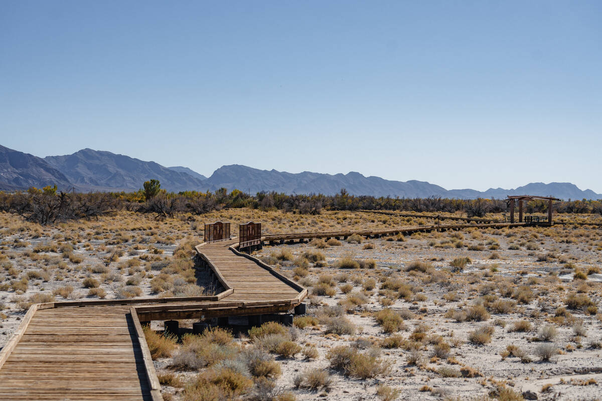 The Crystal Springs Boardwalk at Ash Meadows National Wildlife Refuge in Amargosa Valley, Nev., ...