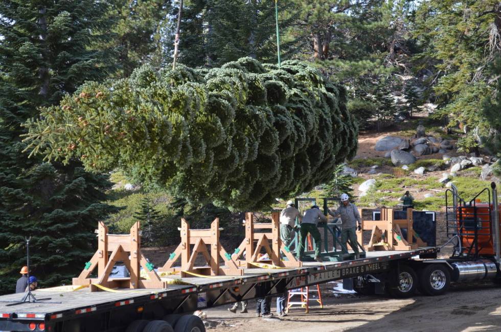 "Silver Belle" is lowered onto a trailer custom-built to transport it to Washington, D.C., whil ...